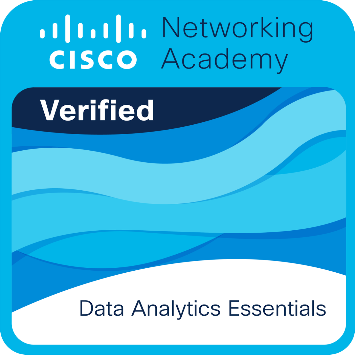 Data Analytics Essentials