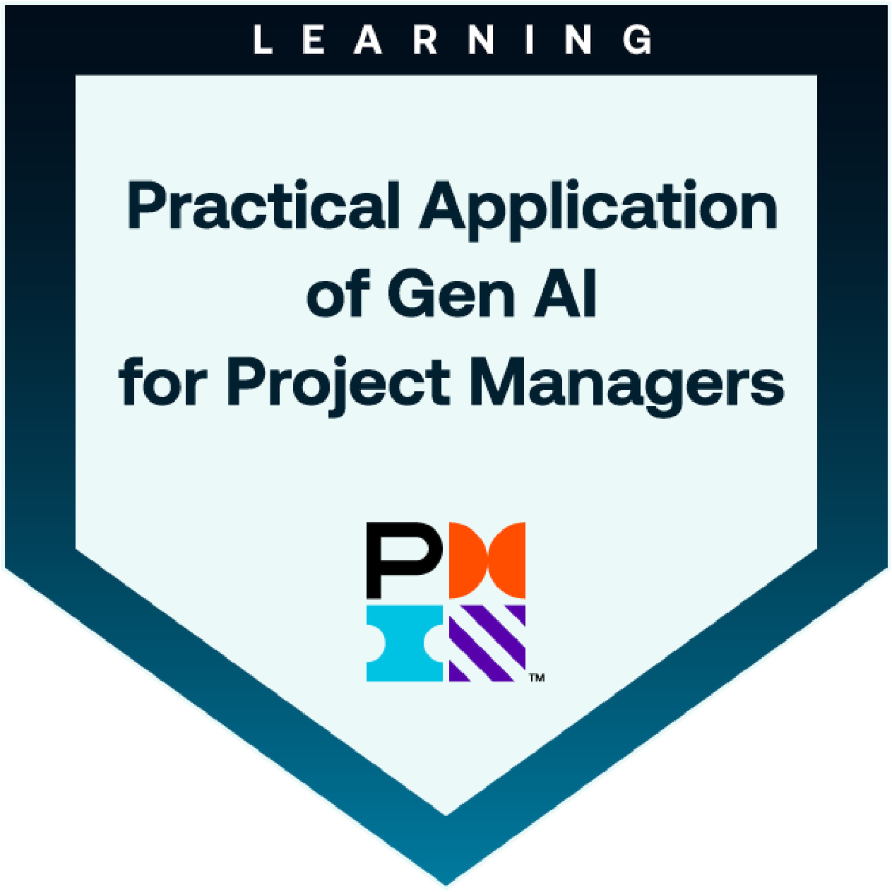 Practical Application of Gen AI for Project Manager